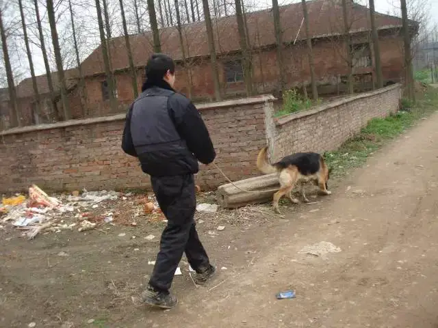 _0