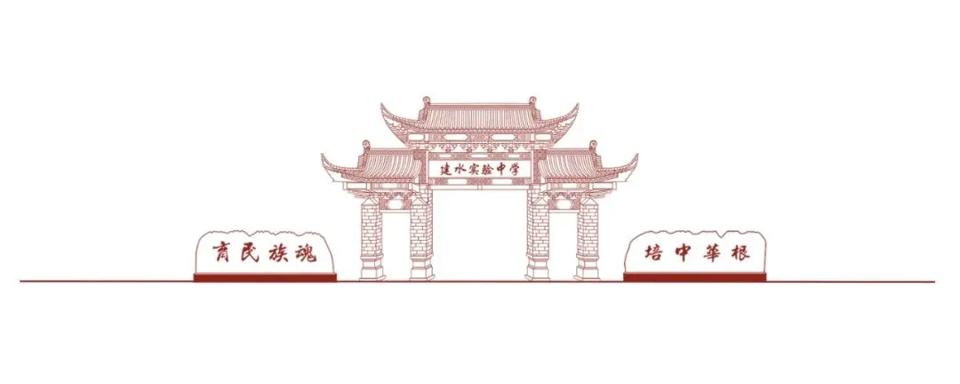 篮球协调训练的有效工具和设备推荐_2